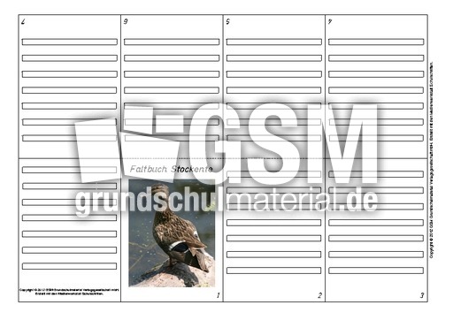 Faltbuch-Stockente-3.pdf